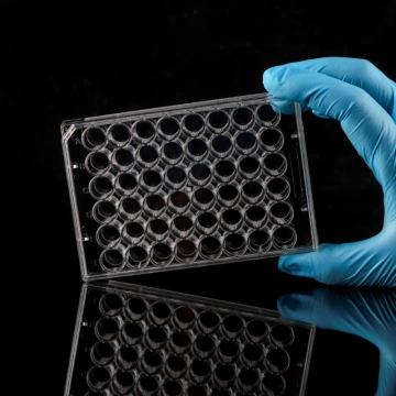 TC-Treated 48 well Cell Culture Plates China Manufacturers